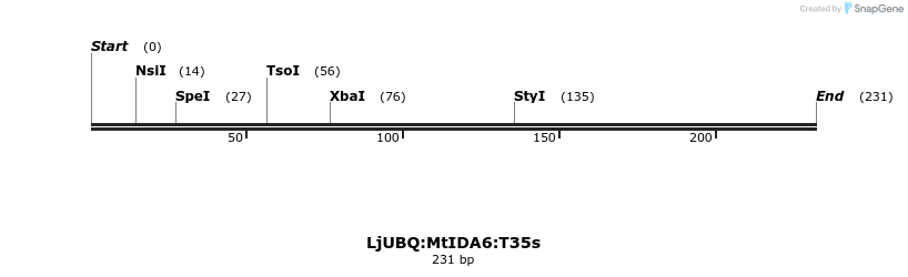 319974_map