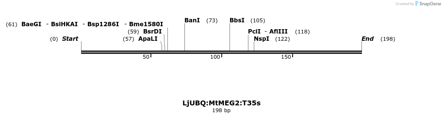 319979_map
