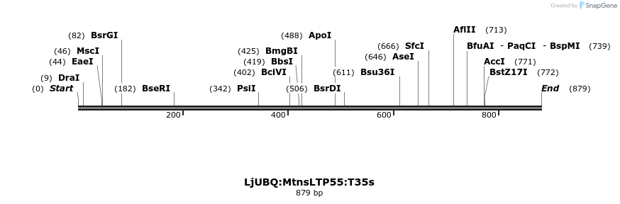 319984_map