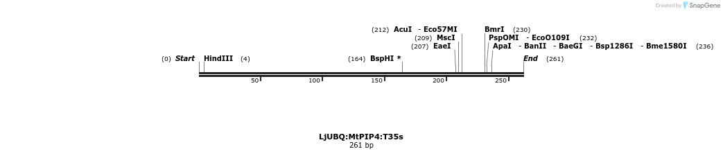 319988_map
