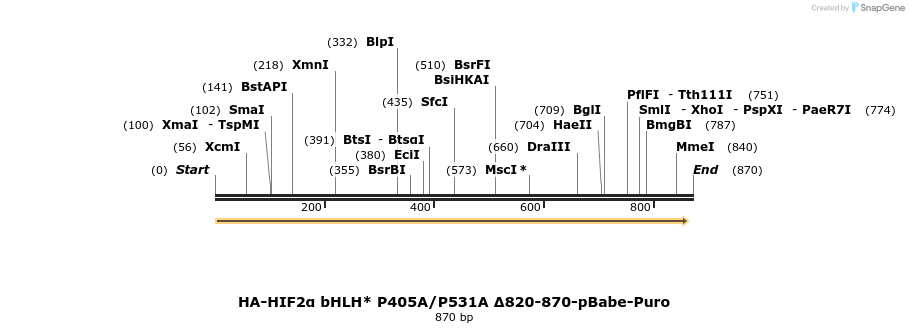 31999_map