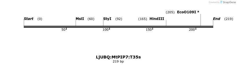 319991_map