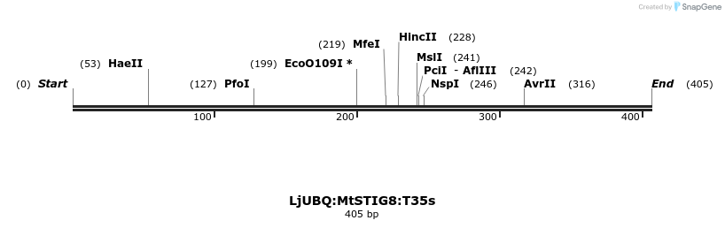 319997_map