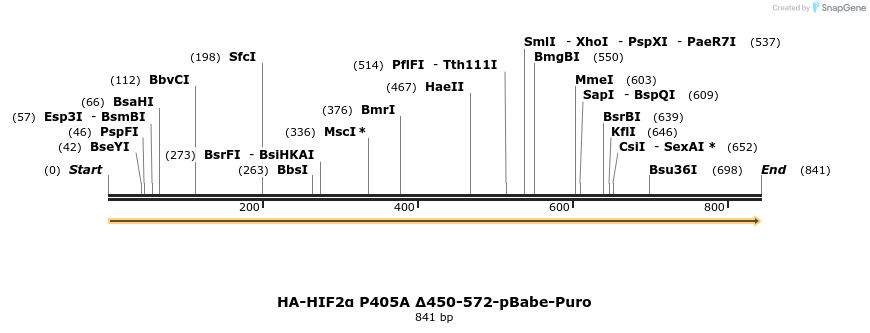 32002_map