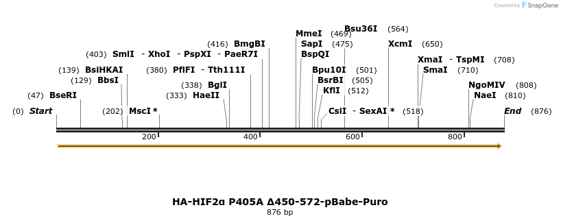 32003_map