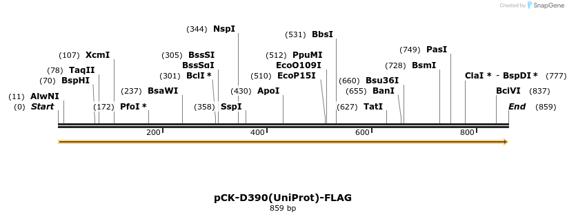 320069_map