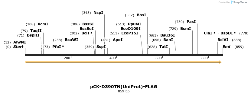 320070_map