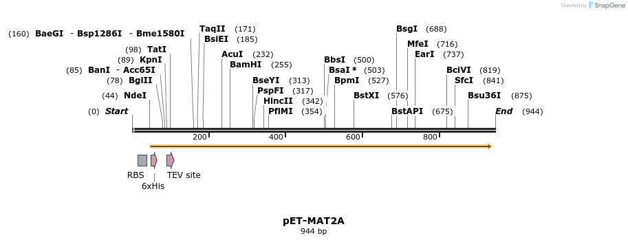 320097_map