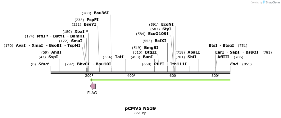 32021_map