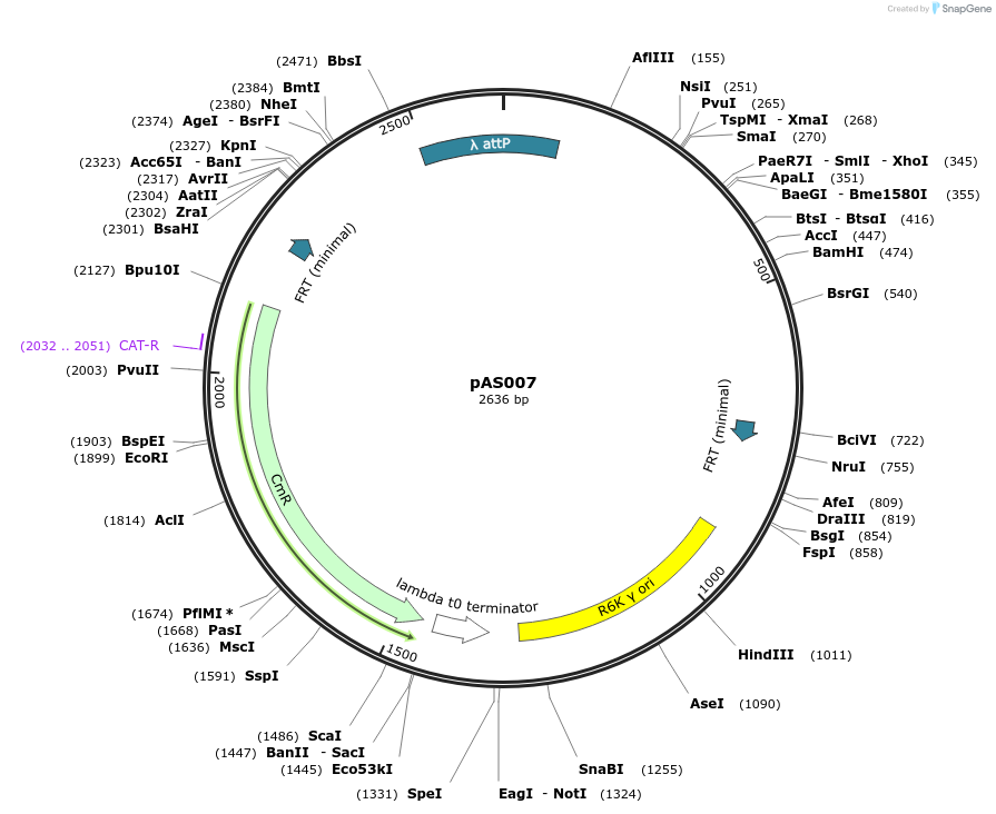 320214_map