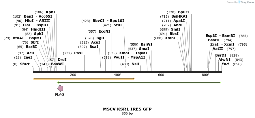 32022_map