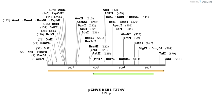 32025_map