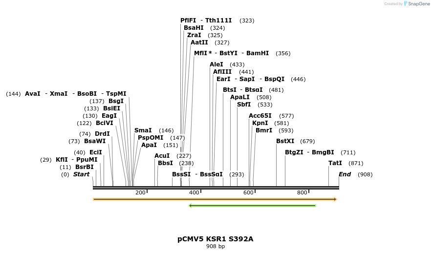 32027_map