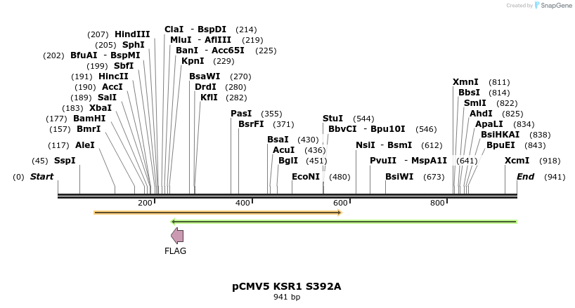 32028_map