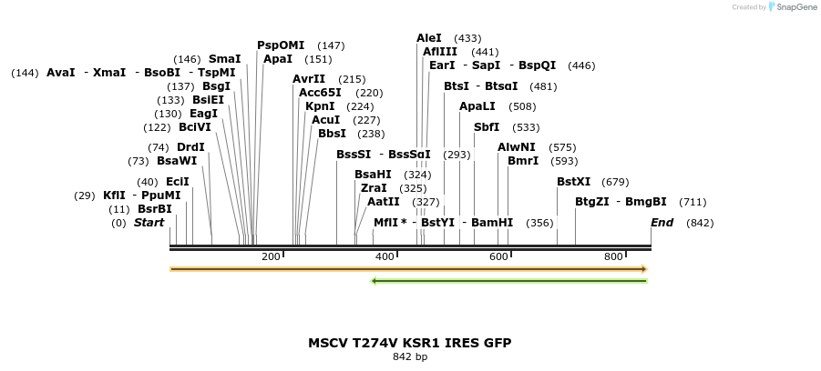 32029_map