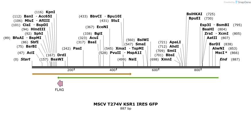 32030_map
