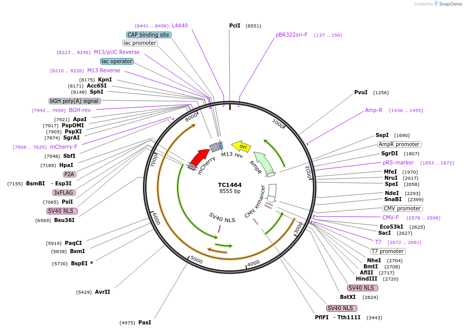 320300_map