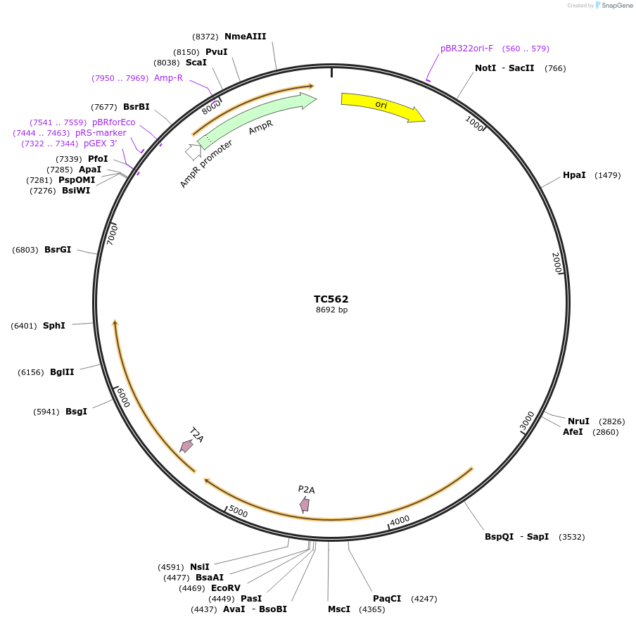 320306_map