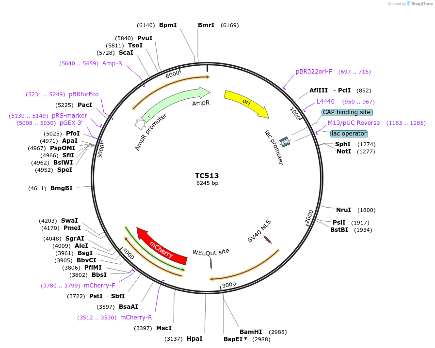 320308_map