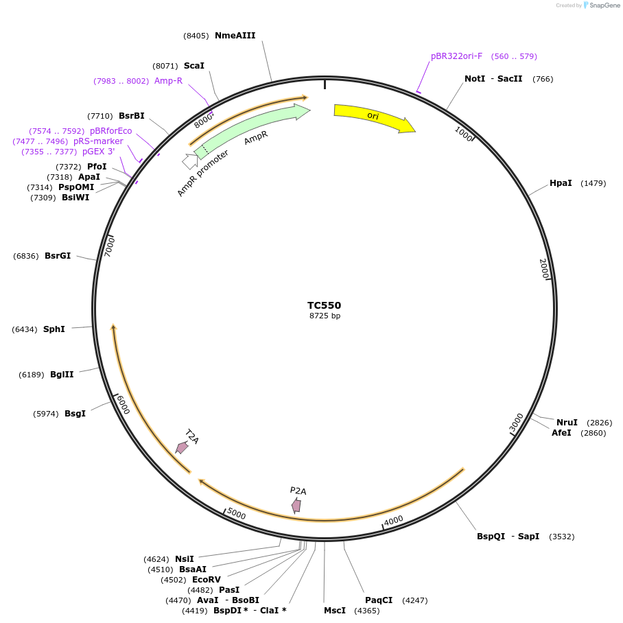320310_map