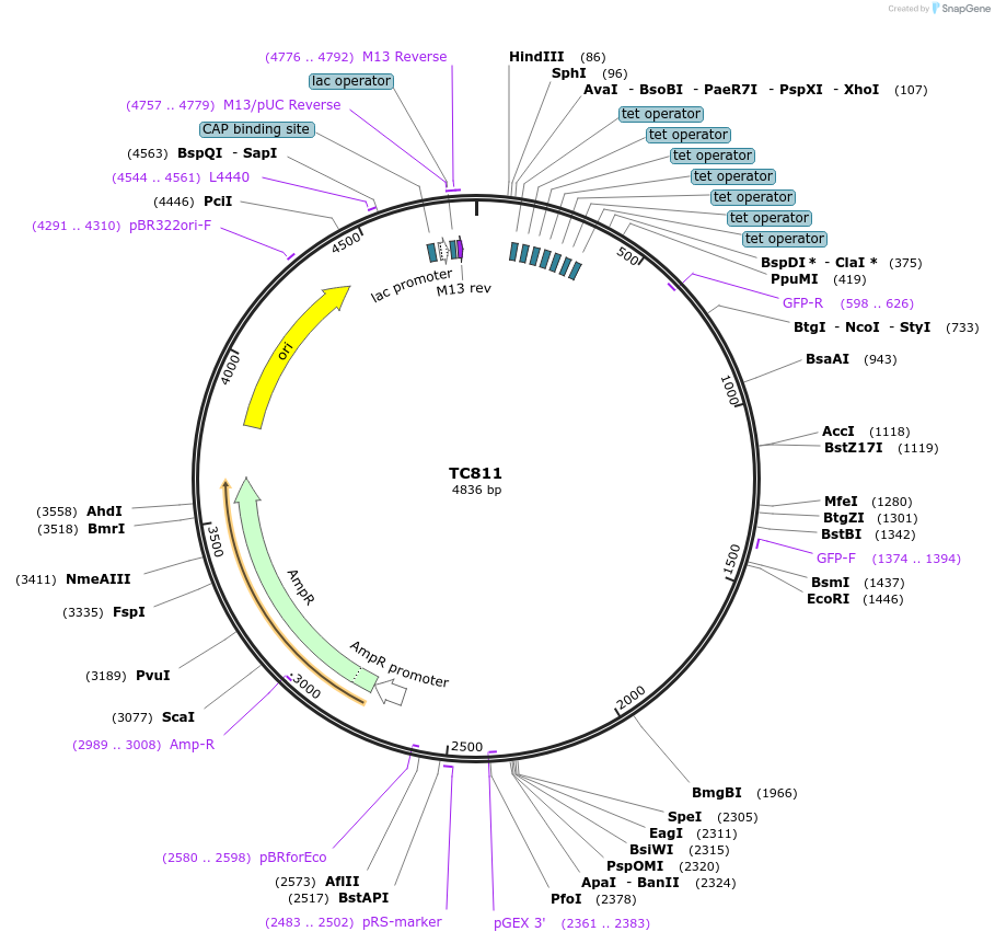 320312_map