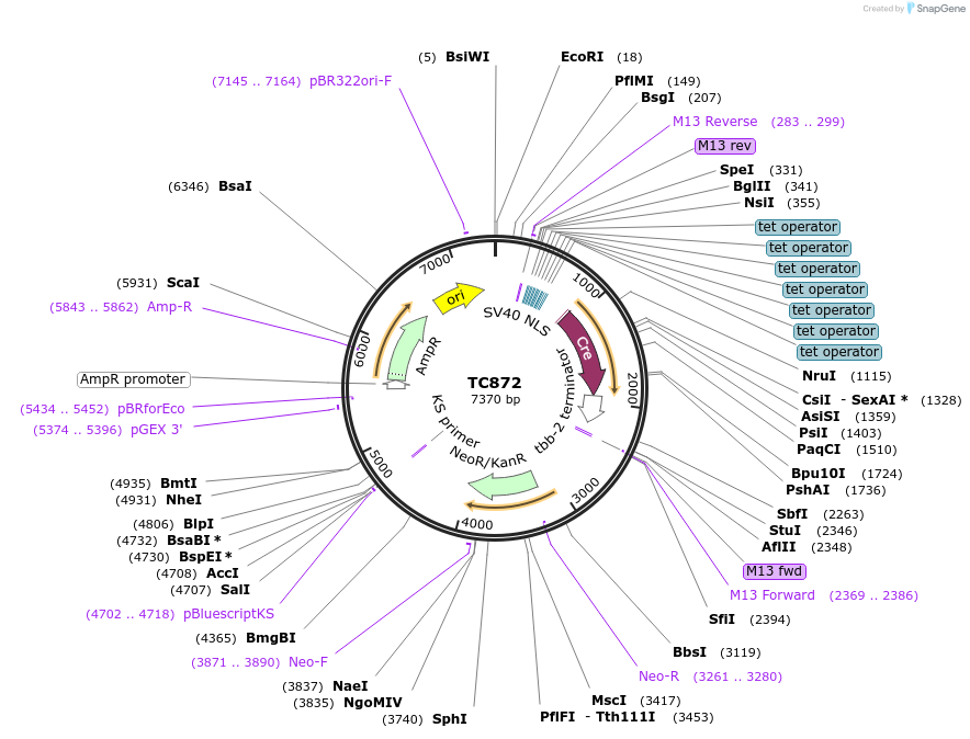 320314_map