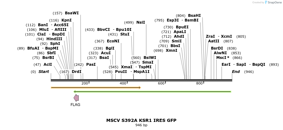 32032_map