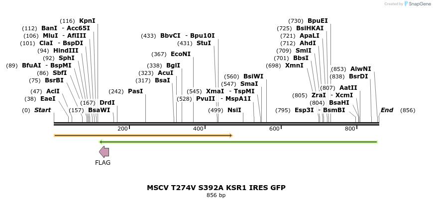 32034_map