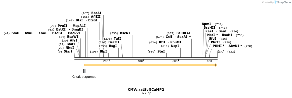 32035_map