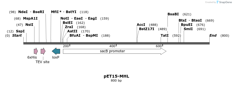 32037_map