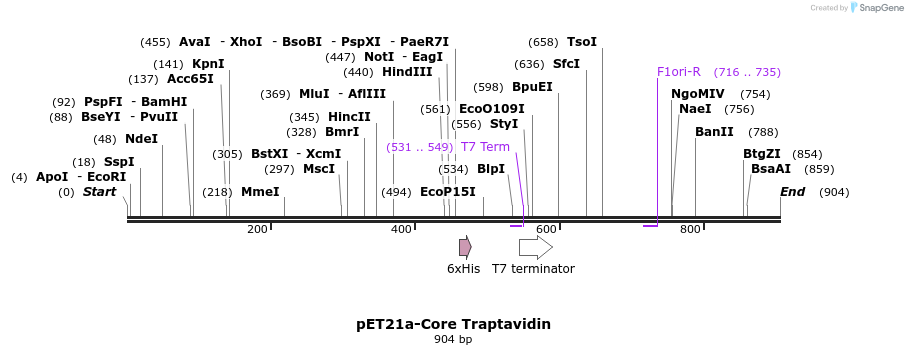 32038_map