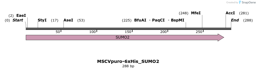 320427_map