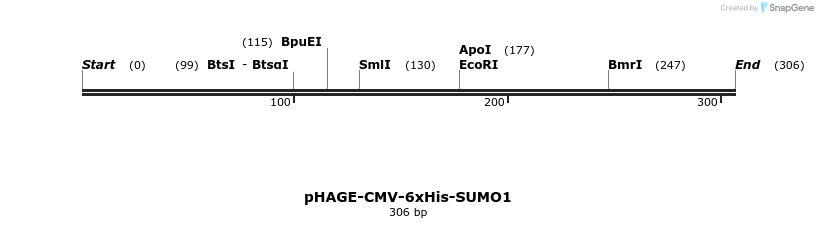 320429_map