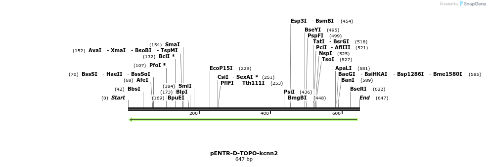 320433_map
