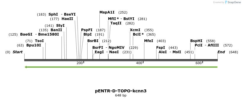 320434_map