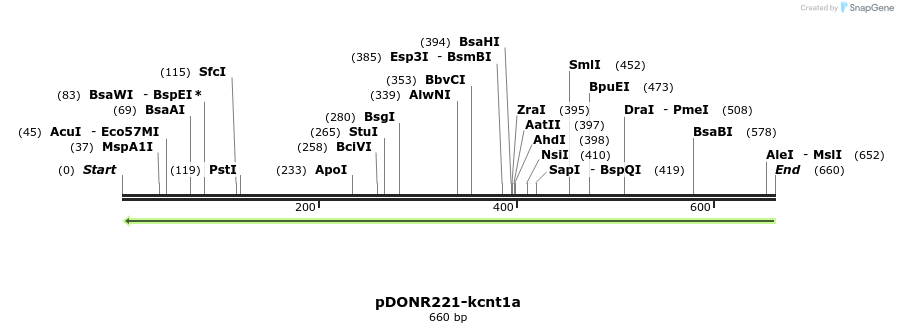320436_map