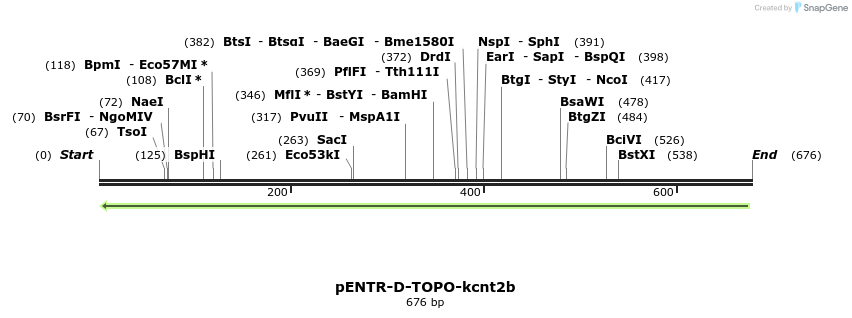 320438_map