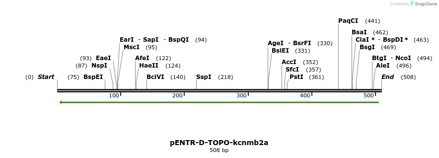 320446_map