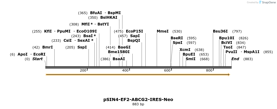 32045_map