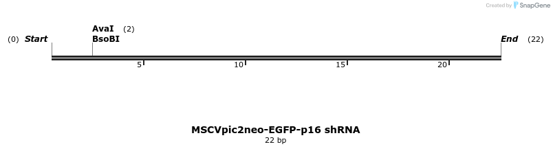 320458_map