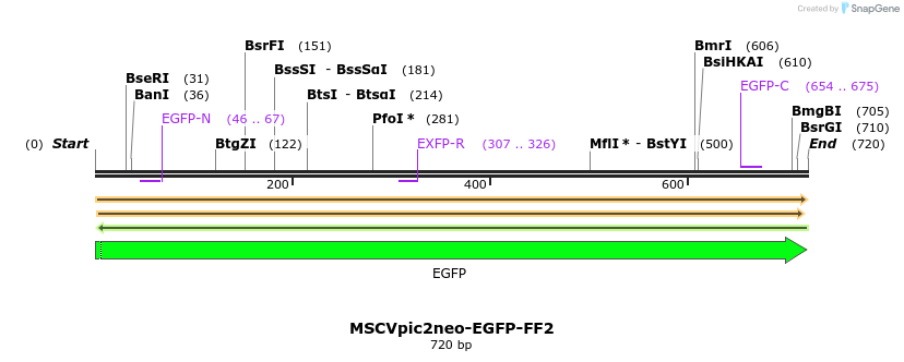 320463_map