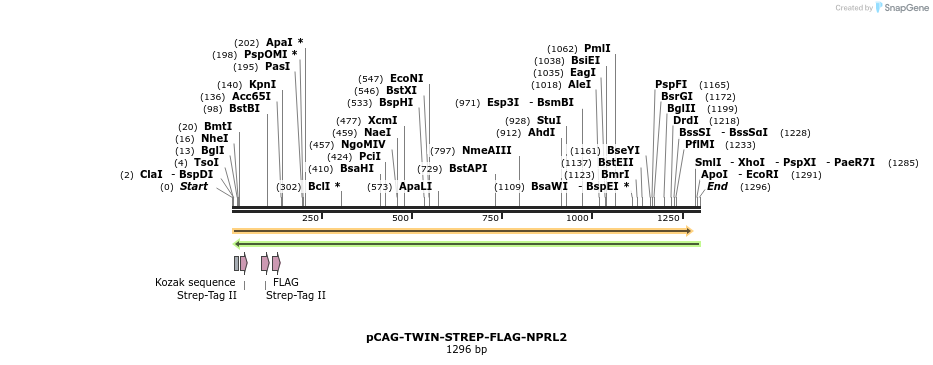 320470_map