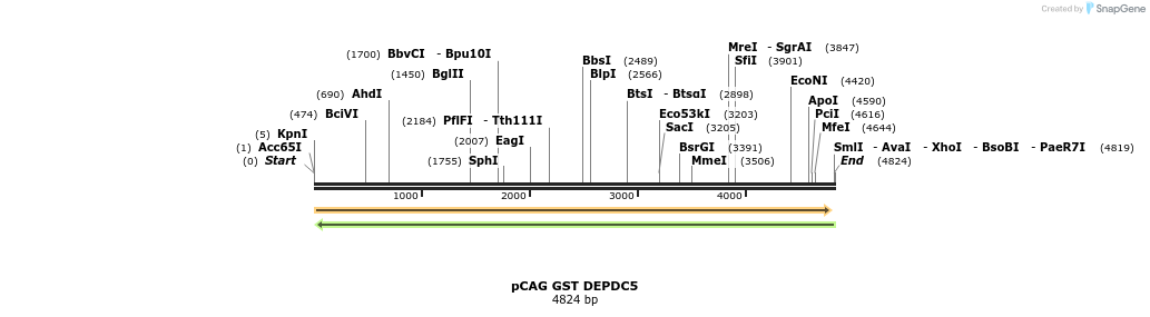 320472_map