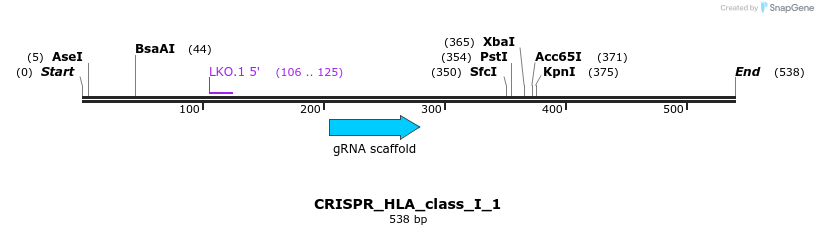 320478_map