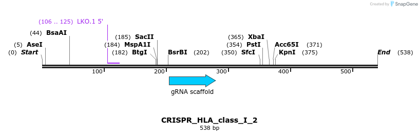 320479_map