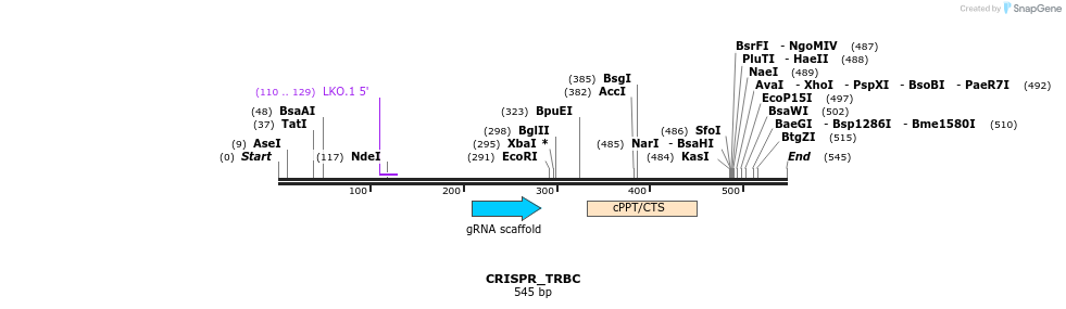 320486_map
