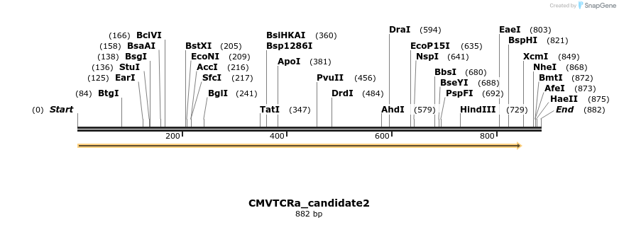 320489_map