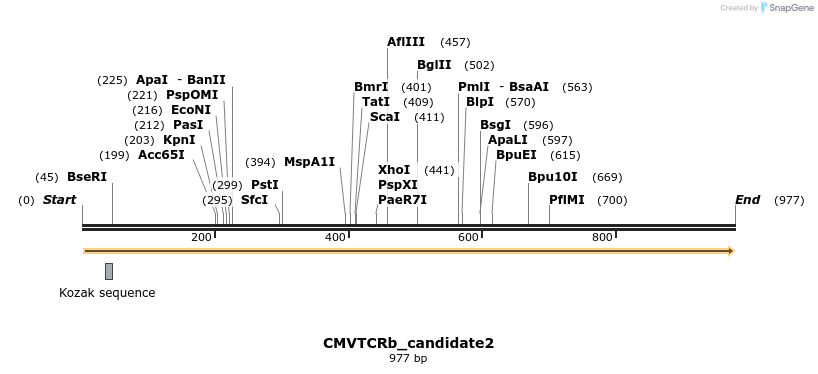 320490_map