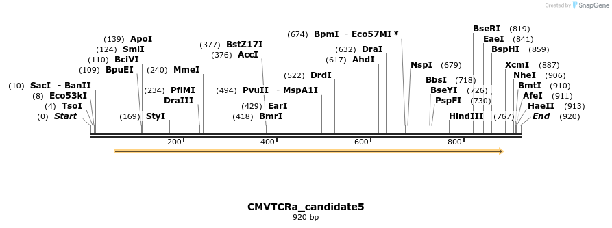 320491_map