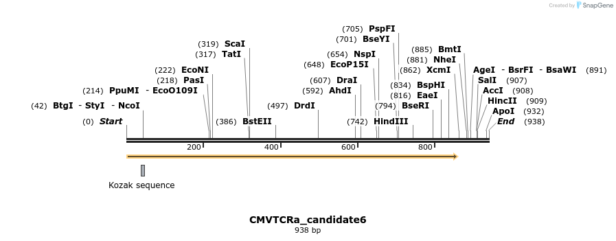 320493_map